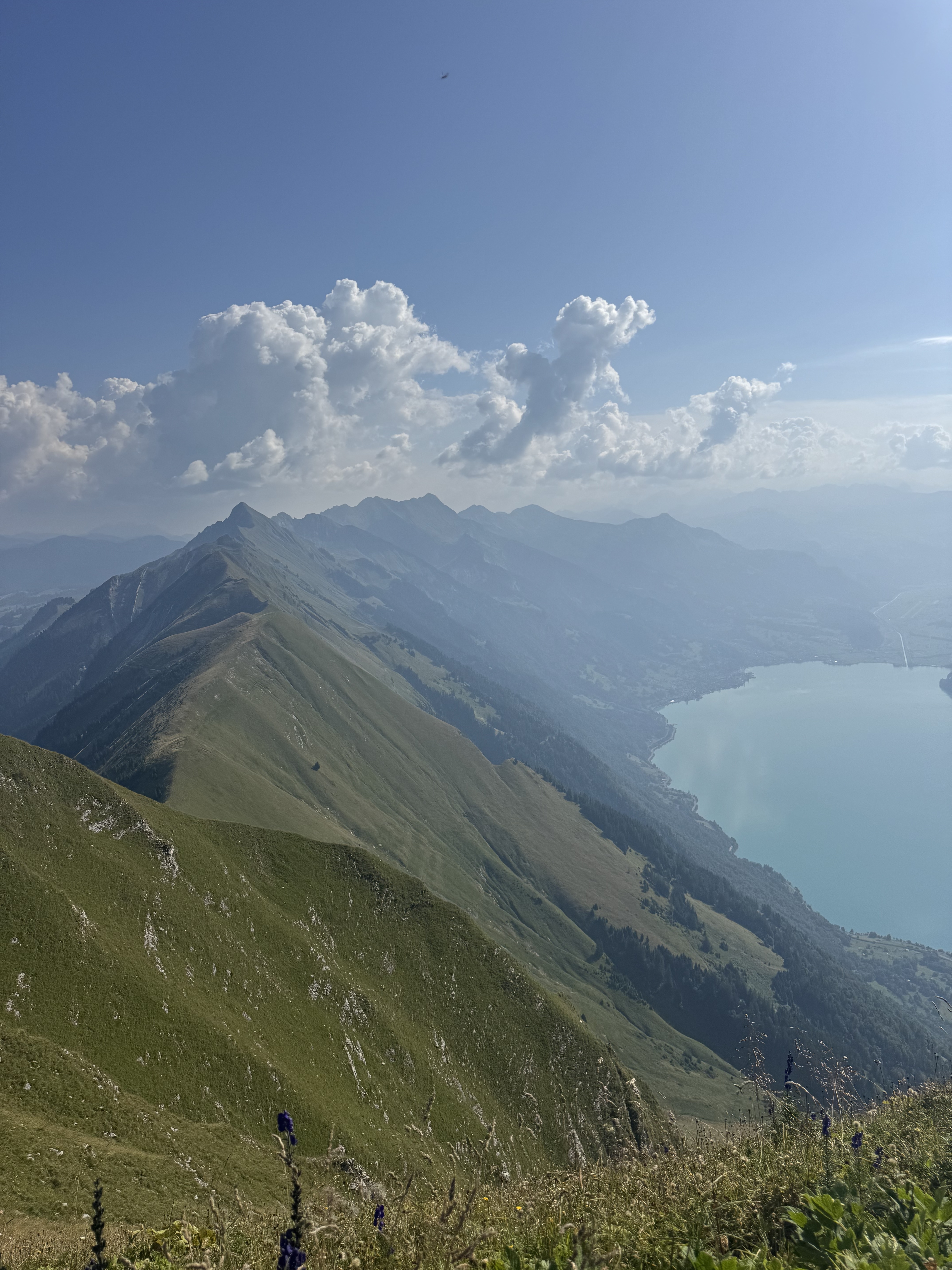 Vistas desde la cresta · lago de Brienz