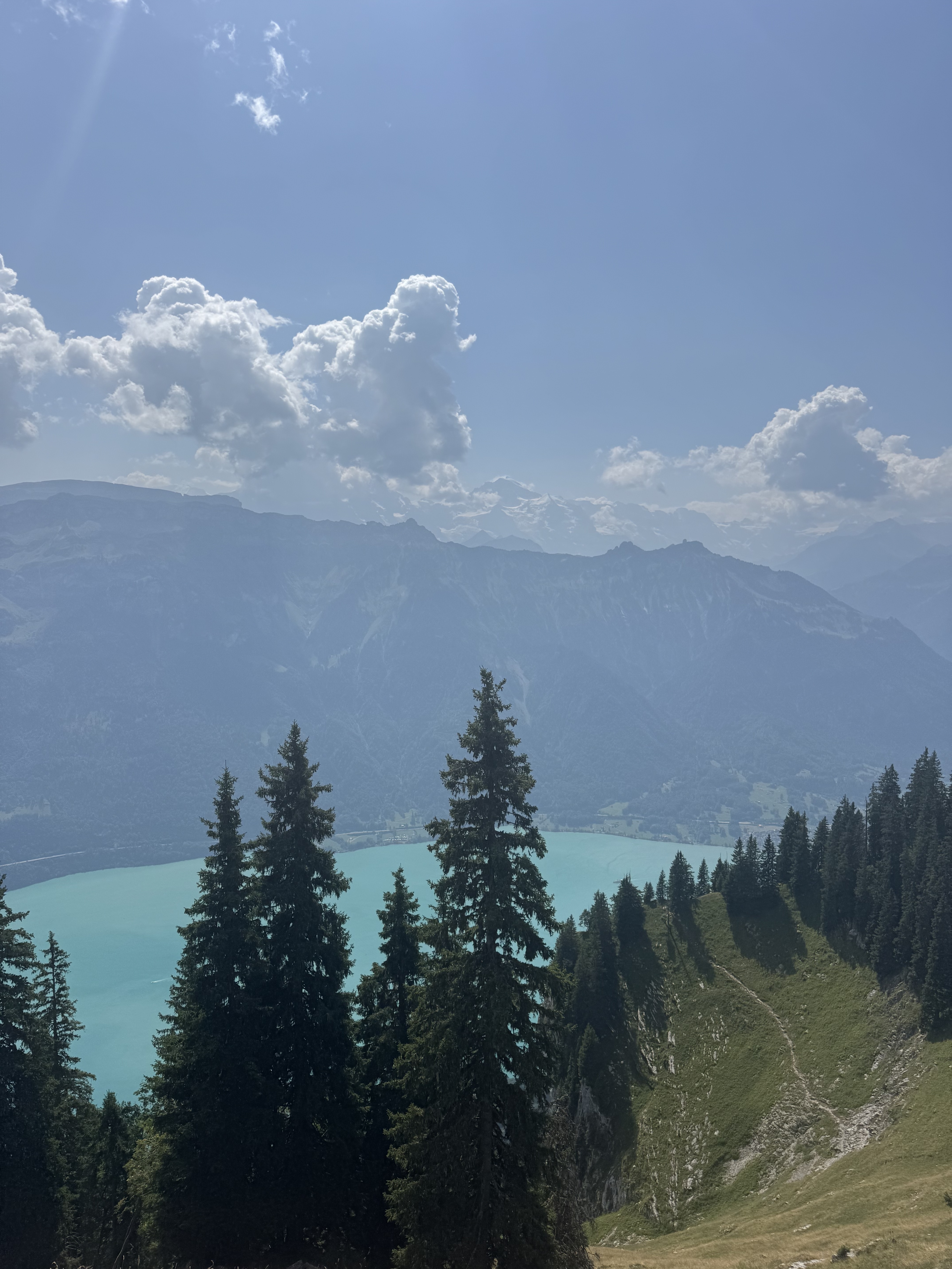 Brienzersee turquesa desde el sendero